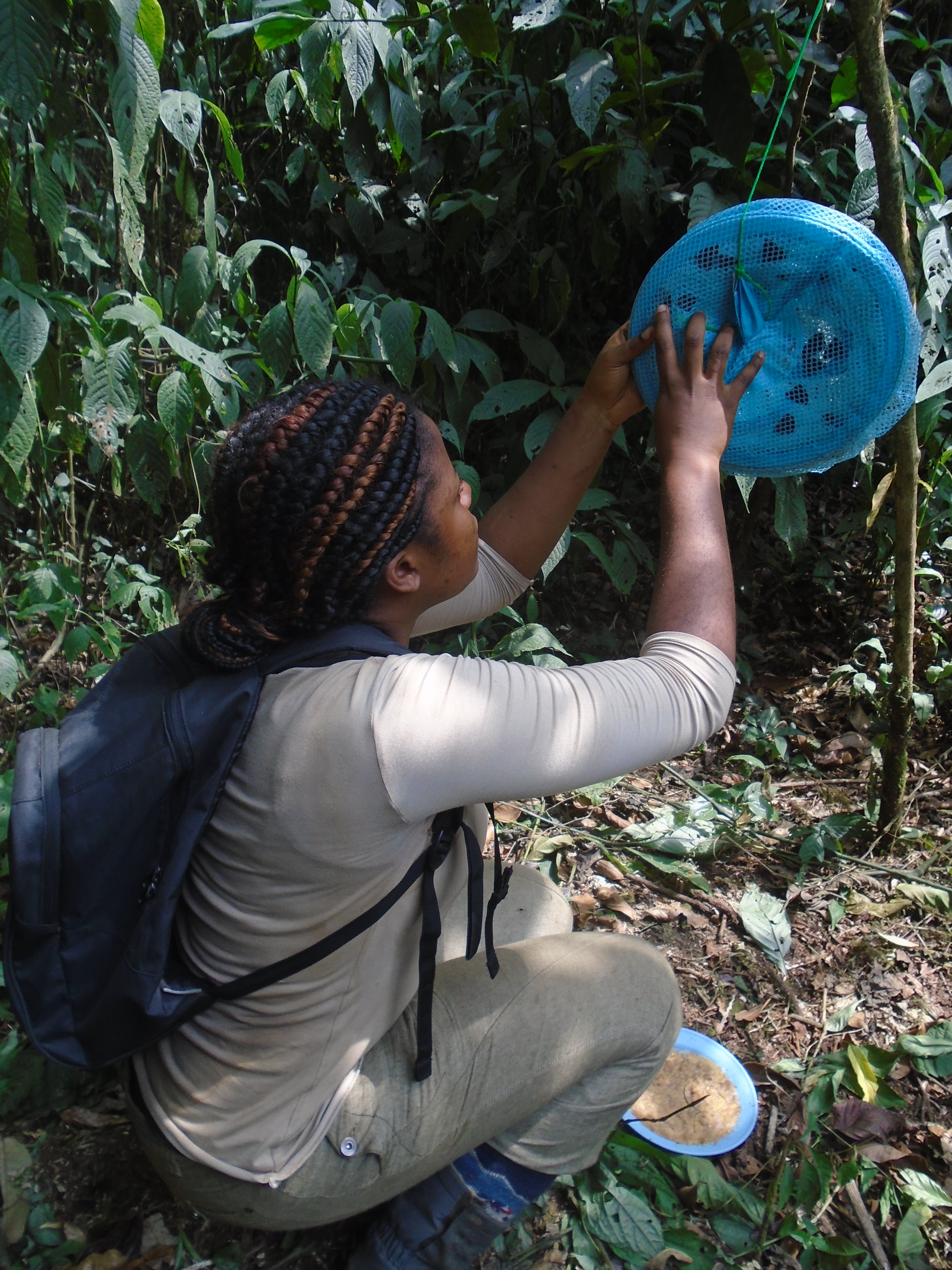 Mercy Murkwe analyzing butterflies in the field
