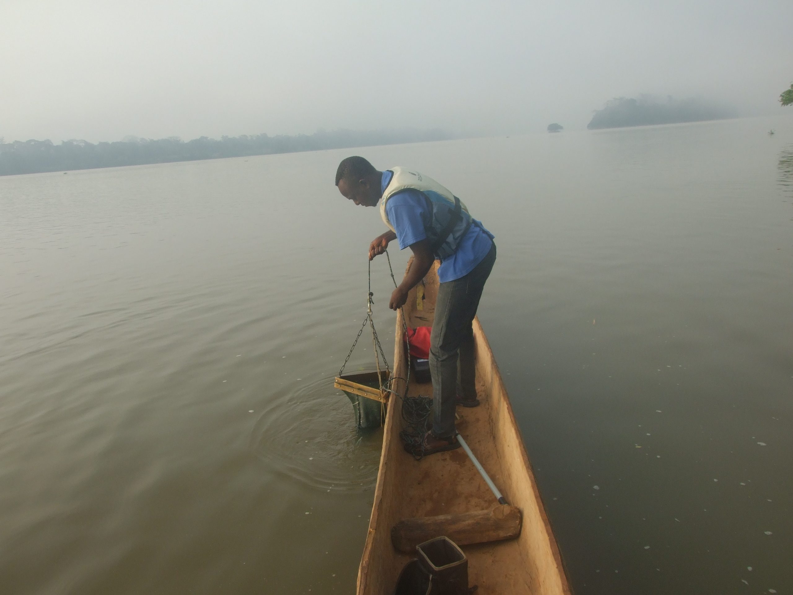 Giving Congo River gastropods their due