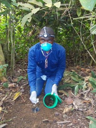 Dung beetles: the unsung heroes of ecosystem health