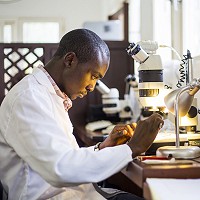 Michel Dongmo working in lab